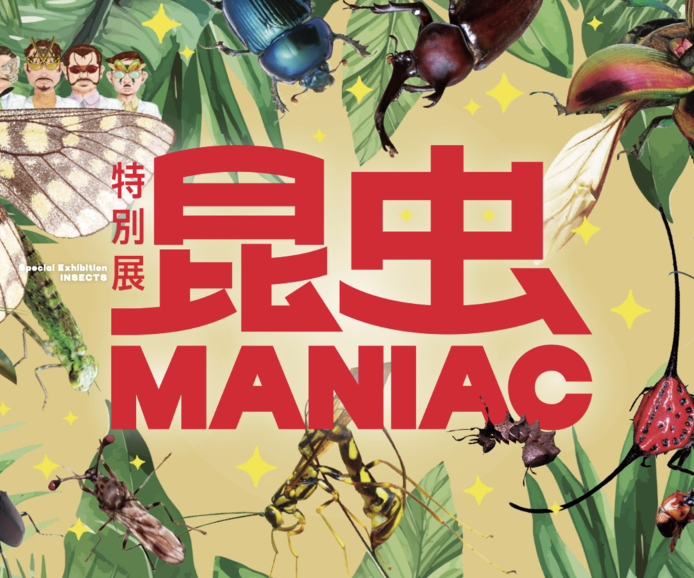 昆虫MANIAC