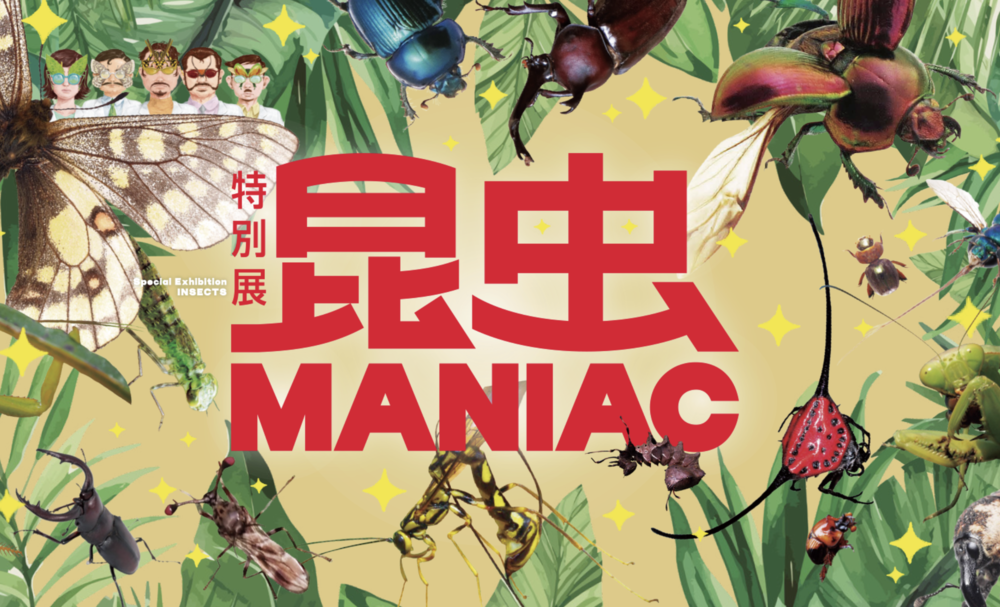 昆虫MANIAC