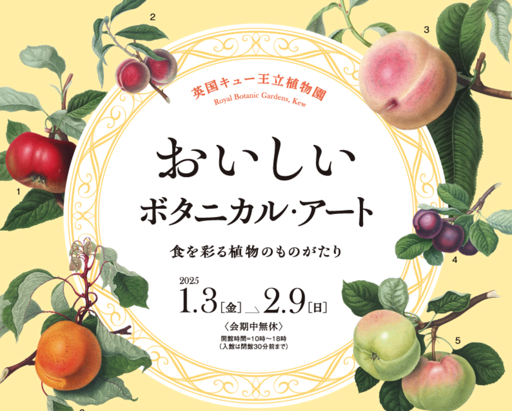 おいしいボタニカル・アート 食を彩る植物のものがたり