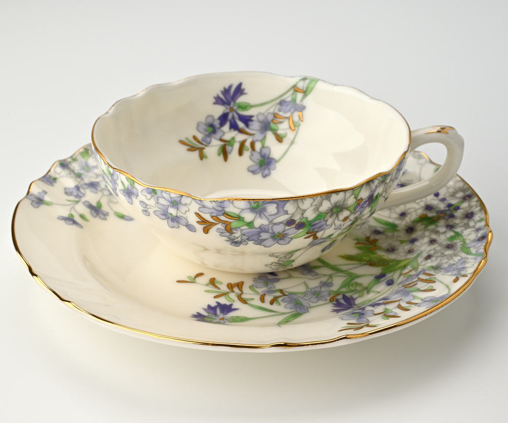 Museum Collection　横山美術館ミュージアムコレクション