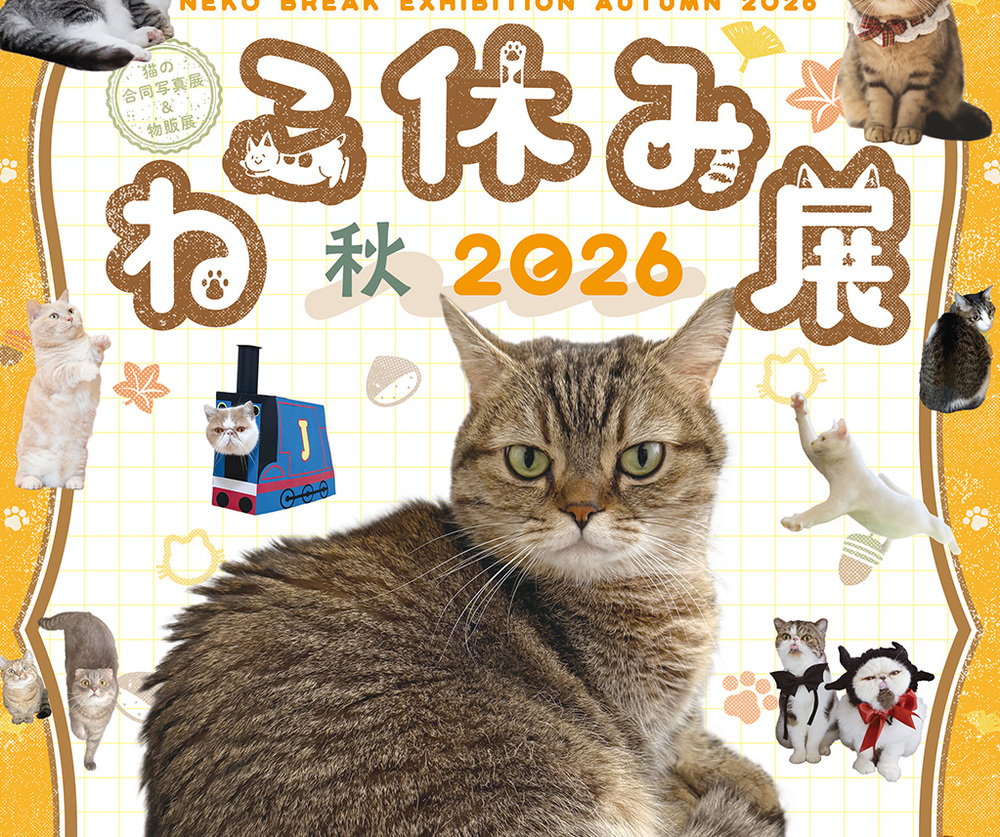 ねこ休み展 秋 2026