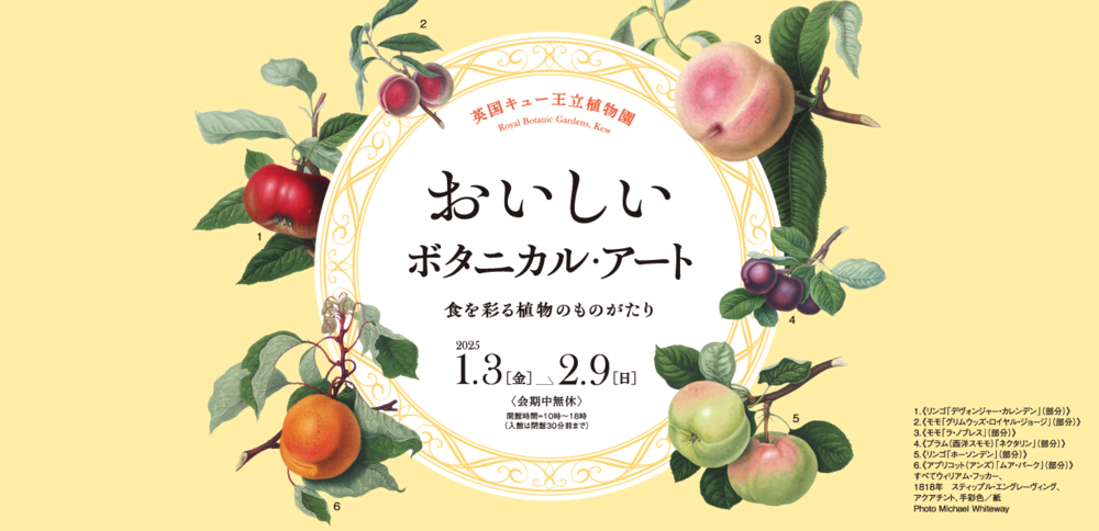 おいしいボタニカル・アート 食を彩る植物のものがたり