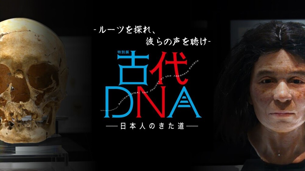 特別展「古代DNAー日本人のきた道ー」
