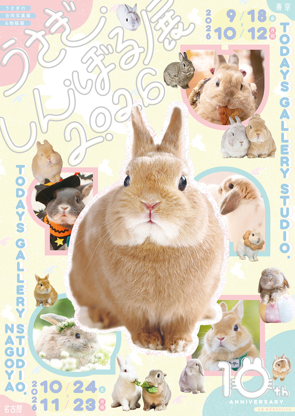 うさぎしんぼる展 2026